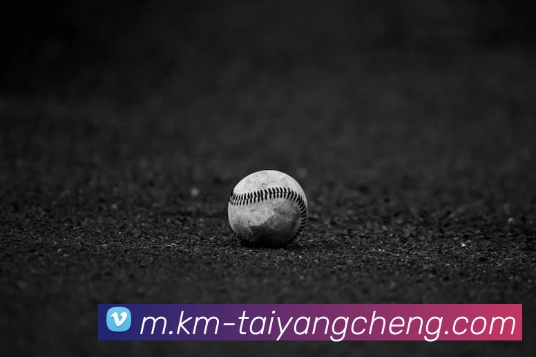 澳门太阳城平台生态图