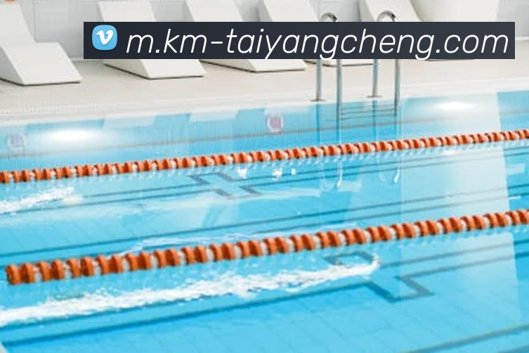 澳门太阳城APP 封面图